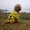 密码的头像
