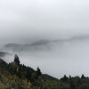 卓朗冬去春来的头像