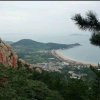 回眸一笑的头像
