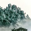 杨学碧的头像