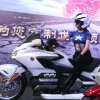 陶然晓亭（拒bi）的头像