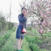 愛心XCH春红的头像