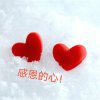 感恩的<div class=