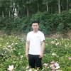珂珂的头像