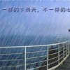心雨 《退出》的头像