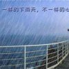 心雨 《退出》的头像