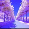 听心（有访必回）的头像