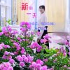 春天的头像