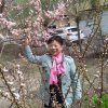 桃李秋歌的头像
