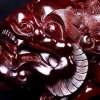 四季长青的头像