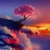 镜花水月的头像