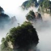 地球是我滚圆的。的头像