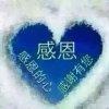 如风的头像