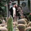 大满的头像