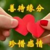 知音的头像