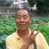 东方旭的头像
