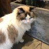 颖♡的头像