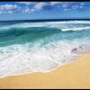 海潮的头像