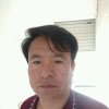 马到成功的头像