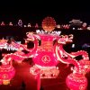 水仙花的头像