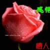 今生只为遇见你，有事暂离的头像