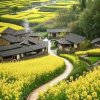 古月的头像