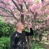 龙飞凤舞(口味王槟榔)的头像