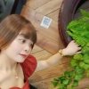 绽放的玫瑰的头像