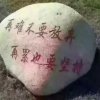 从头再来。的头像