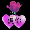 心心相印的头像