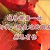 知足常乐的头像