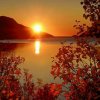 夕阳红韵家族（1）的头像