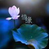 惜缘的头像