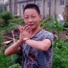 为爱飞扬。的头像