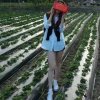 麦子～四叶草的头像