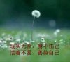无意的头像