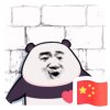 猫南北的头像