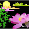 今世缘的头像
