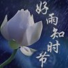 好雨知时节的头像
