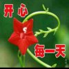 快乐一生的头像