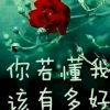 向阳的头像
