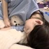 梦的头像