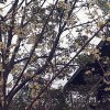 心~静的头像