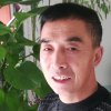 陈的头像