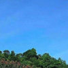 诚信 （主唱）朵朵云的头像