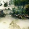 宁静致远的头像