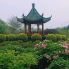 刘荣伟的头像