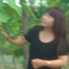 温馨的头像