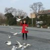 琴声悠扬的头像