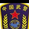 芒果飘逸de尘风的头像